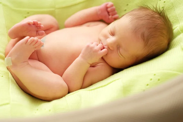 Bir hafta önce yeni doğan bebek — Stok fotoğraf