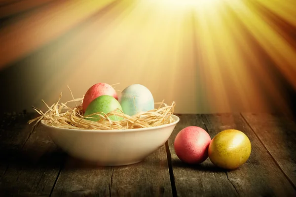 Colored easter eggs in nest — Stock Photo, Image