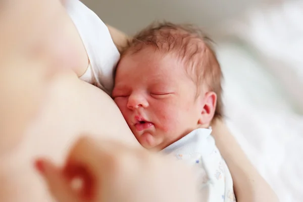 Un giorno il neonato — Foto Stock