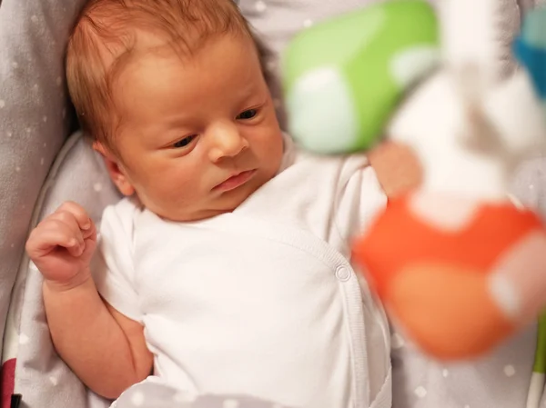 Two weeks old newborn baby — Stock Photo, Image