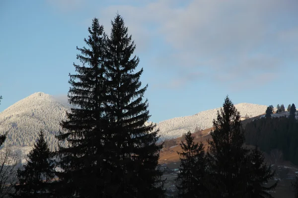 Winter Carpathians Ukraine Mountains Full Snow — Stock Photo, Image