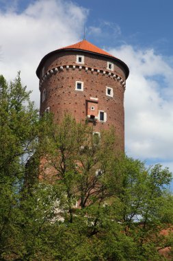 Kule Wawel Castle. Krakow. Polonya