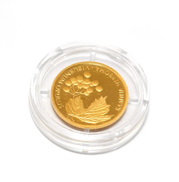 Moneta d'oro — Foto Stock