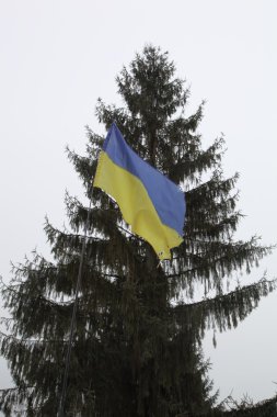 Ukrayna Bayrağı 