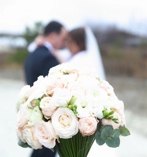 On a photo bouquet — Stock Photo, Image