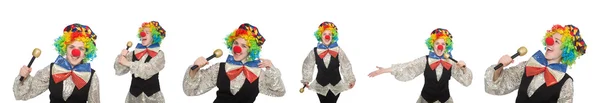 Clown in verschillende poses geïsoleerd op wit — Stockfoto