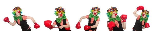 Clown in verschiedenen Posen isoliert auf Weiß — Stockfoto