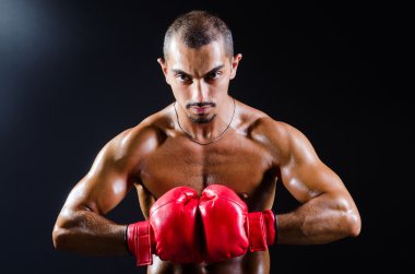 Spor konseptinde yırtılmış boksör