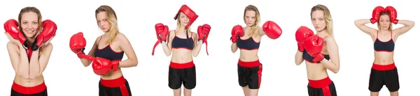 Boxerin auf weißem Hintergrund — Stockfoto
