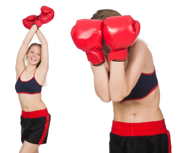 Boxeador mujer sobre fondo blanco —  Fotos de Stock