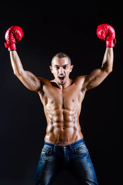 Ripped boxer in sports concept — Stock Photo, Image