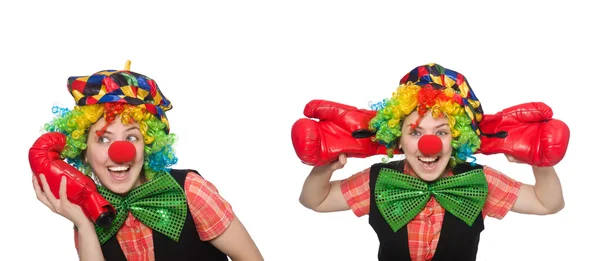 Payaso en varias poses aislado en blanco — Foto de Stock