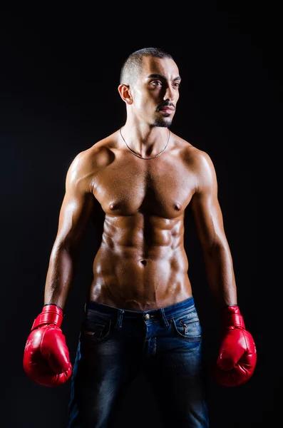 Ripped boxer in sports concept — Stock Photo, Image
