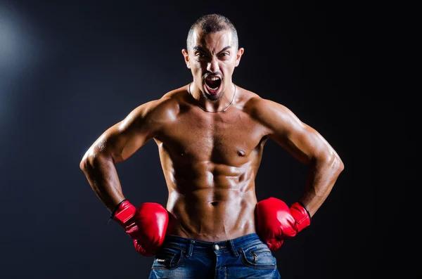 Zerrissener Boxer im Sportkonzept — Stockfoto