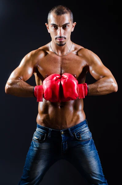 Ripped boxer in sports concept — Stock Photo, Image