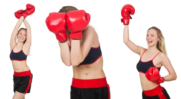 Woman boxer on white background — Stock Photo, Image