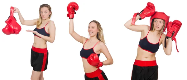 Woman boxer on white background — Stock Photo, Image