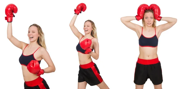 Woman boxer on white background — Stock Photo, Image