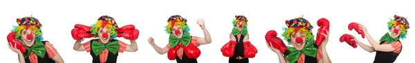 Clown in verschiedenen Posen isoliert auf Weiß — Stockfoto