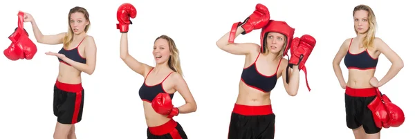 Boxeador mujer sobre fondo blanco —  Fotos de Stock