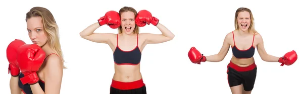 Mulher boxer no fundo branco — Fotografia de Stock