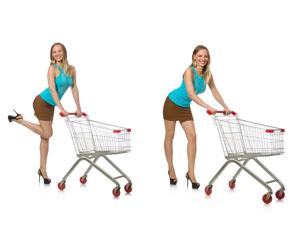 Composite photo of woman with shopping basket — Stock Photo, Image