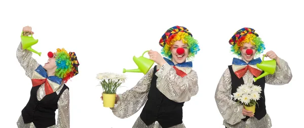 Payaso hembra con regadera aislada en blanco — Foto de Stock