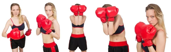 Žena boxer na bílém pozadí — Stock fotografie