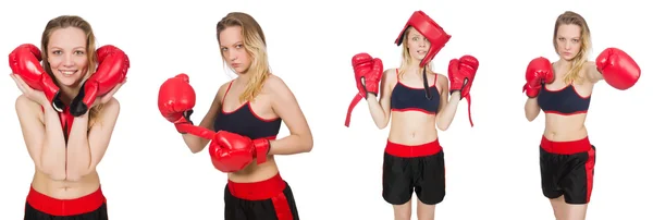 Woman boxer on white background — Stock Photo, Image