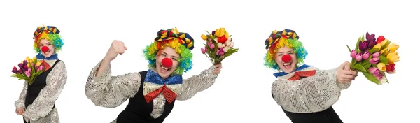 Clown femminile isolato su bianco — Foto Stock