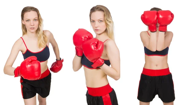 白い背景の女性ボクサー — ストック写真