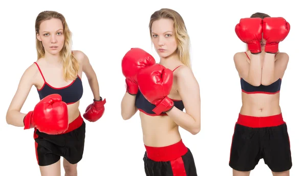 Žena boxer na bílém pozadí — Stock fotografie