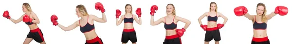 Woman boxer on white background — Stock Photo, Image