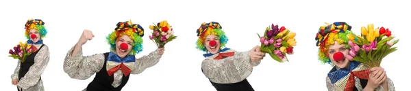 Clown femminile isolato su bianco — Foto Stock