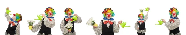 Clownin mit Gießkanne isoliert auf weiß — Stockfoto