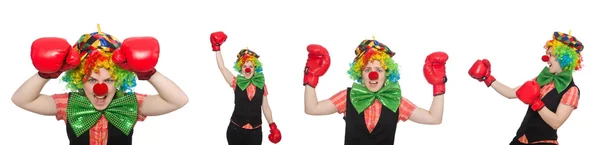 Clown i olika poser isolerad på vitt — Stockfoto