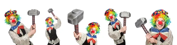 Clown in various poses isolated on white — Stock Photo, Image