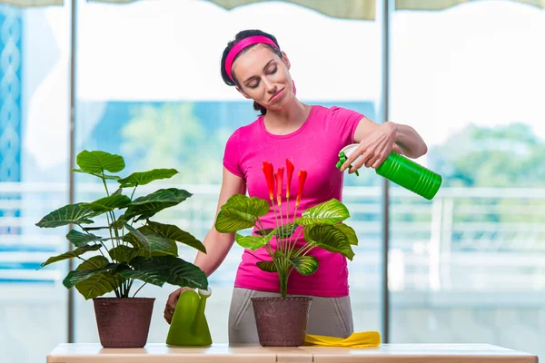 若い女性の家の植物の世話 — ストック写真