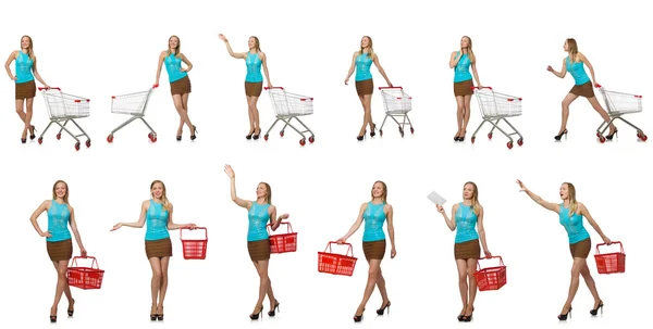 Foto composta de mulher com cesta de compras — Fotografia de Stock