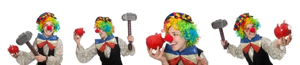 Clown in verschillende poses geïsoleerd op wit — Stockfoto