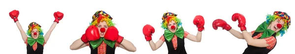 Clown in verschillende poses geïsoleerd op wit — Stockfoto