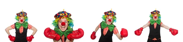 Clown in various poses isolated on white — Stock Photo, Image
