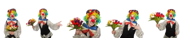 Weiblicher Clown isoliert auf weiß — Stockfoto