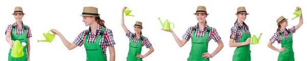 Collage of woman watering plants isolated on white — Stock Photo, Image