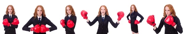 Collage of woman businesswoman with boxing gloves on white — Stock Photo, Image