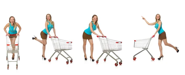 Foto composta de mulher com cesta de compras — Fotografia de Stock