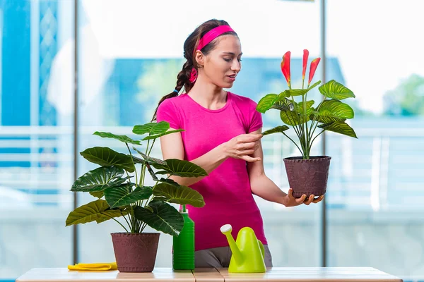 Giovane donna che si prende cura di piante domestiche — Foto Stock