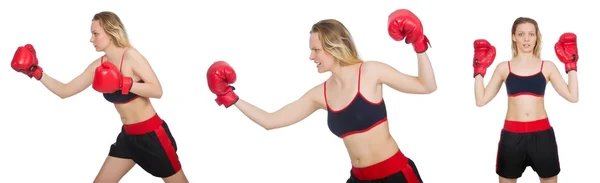 Vrouw bokser op witte achtergrond Stockfoto