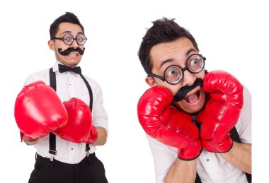 Beyaz arka planda izole edilmiş komik boksör