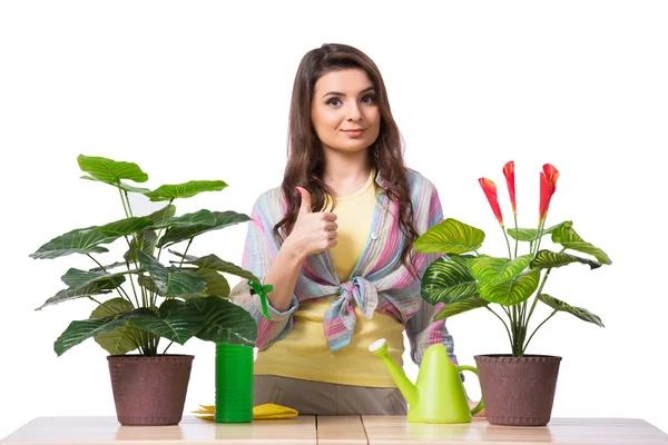 Mulher cuidando de plantas isoladas em branco — Fotografia de Stock